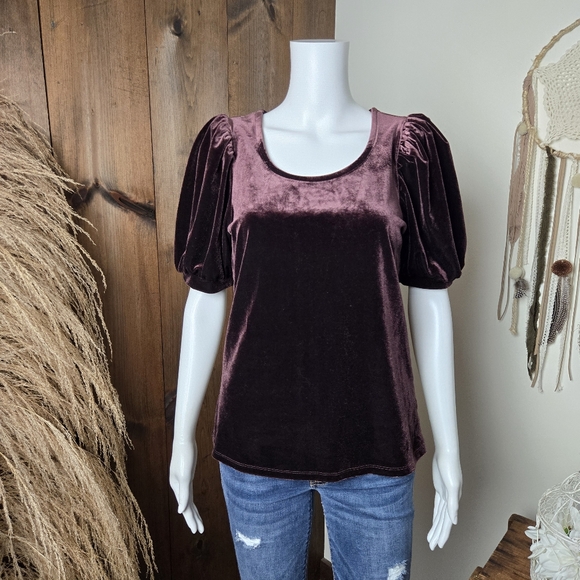 NWT Maurice's Velvet Short Puffy Sleeve Scoop Neck Top - Picture 3 of 14